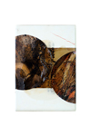 Les Astres n&deg;9